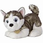 Miyoni - Siberian Husky Pup 10in