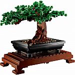Bonsai Tree