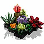 Succulents