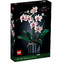 Orchid
