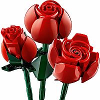 Bouquet of Roses