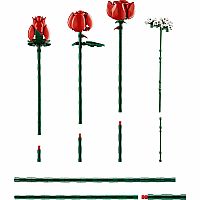 Bouquet of Roses