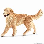Golden Retriever, Female