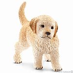 Golden Retriever Puppy (plan)