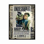500pc Scratch Puzzle: Harry Potter Poster