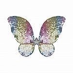 Rainbow Sequins Skirt w/Wings & Wand, Size 4-6