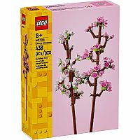 Cherry Blossoms
