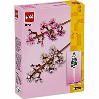 Cherry Blossoms