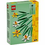 Daffodils