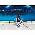 NHL Toronto Maple Leafs? Goalie