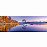 1000pc Panorama - Lake Wanaka Tree