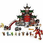 Ninja Dojo Temple