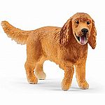 English Cocker Spaniel
