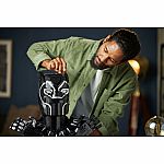 Black Panther (D23)