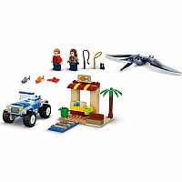 Pteranodon Chase