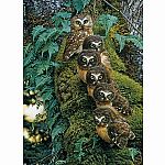 1000pc Family Tree C.H.