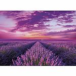 1000PC HQC - LAVENDER FIELD