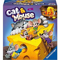 Cat and Mouse Game