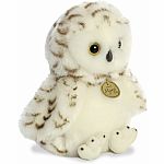Myoni Tots-Snowy Owlet