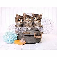 500pc Clementoni Kittens and Soap 