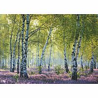 1000pc Birch Forest
