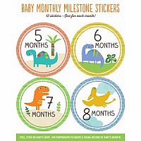 Baby's Monthly Milestone Stickers: Dinosaurs