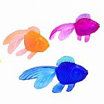 Mini Gold Fish