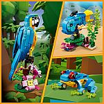 Exotic Parrot