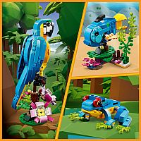 Exotic Parrot