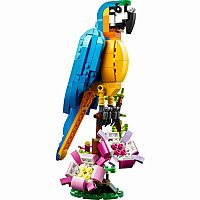 Exotic Parrot