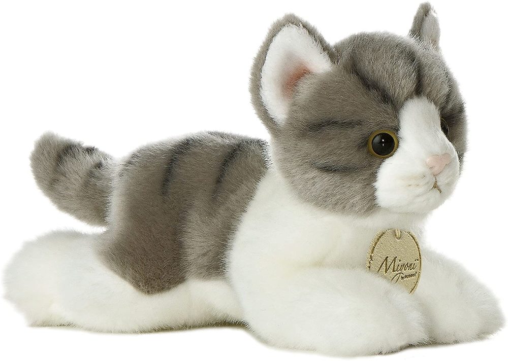 miyoni cat