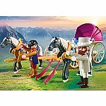 Horse-Drawn Carriage