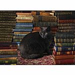 1000pc Cobble Hill: Library Cat