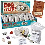 Dig It Up! Minerals and Fossils