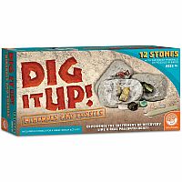 Dig It Up! Minerals and Fossils
