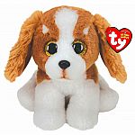 Barker - Brown & White Dog