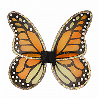 Monarch Wings & Wand Set