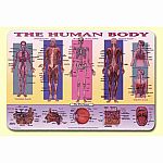 Painless Learning Human Body Placemat