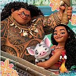 3x49pc Moana: Born to Voyage