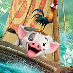 3x49pc Moana: Born to Voyage