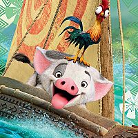 3x49pc Moana: Born to Voyage