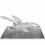 MetalEarth Dragonfly