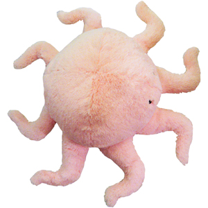 Squishable Octopus 15