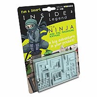 The Ninja Maze Game